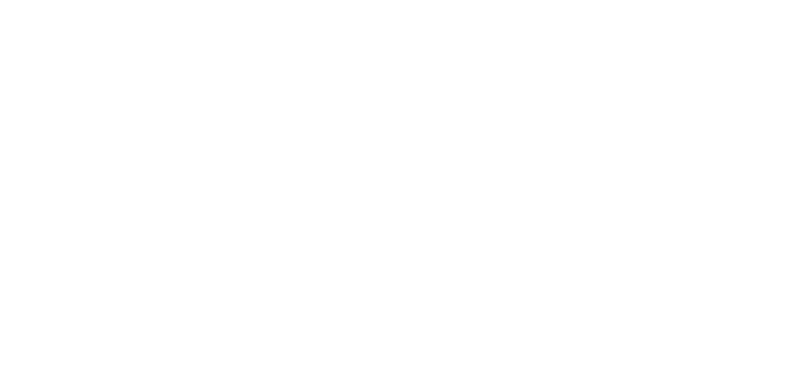 slavik